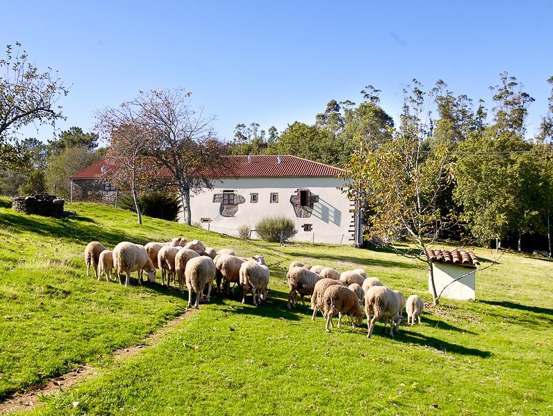 A Pena De Augasantas Guest House Oca de Abaixo Exterior photo