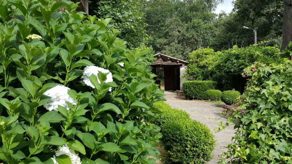 A Pena De Augasantas Guest House Oca de Abaixo Exterior photo
